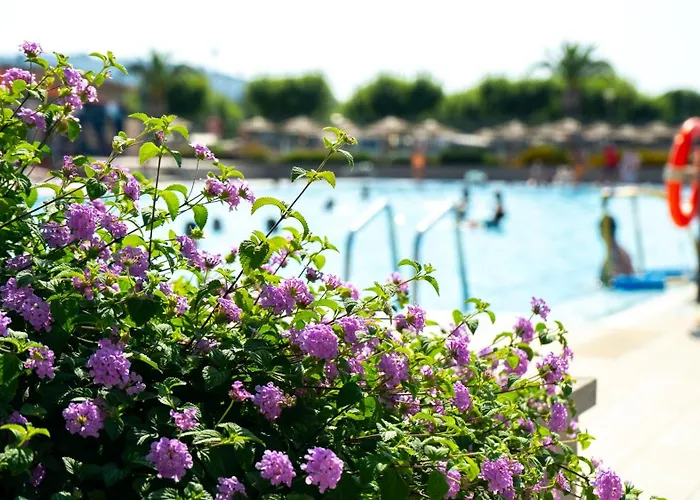 Camping Riembau Castell-Platja d'Aro